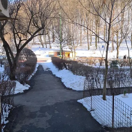 Artstudio Apartment Brasov